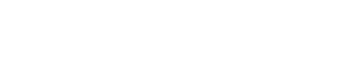 logo_levis-entruempelung_white_rz